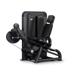 Розгинач стегна Pulsefitness 560H
