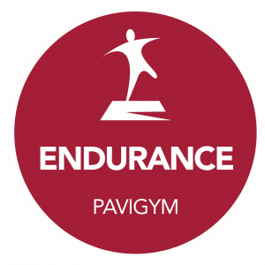Напольное покрытие Pavigym Endurance
