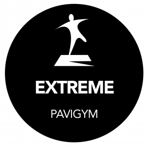 Напольное покрытие Pavigym Extreme