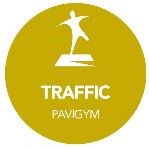 Напольное покрытие Pavigym Traffic